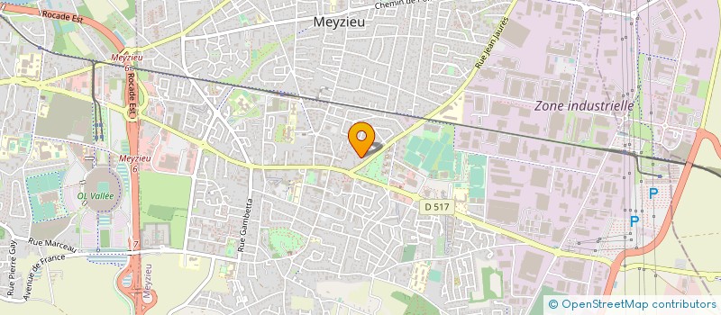 localisation de l'entreprise SOCITE CIVILE LES VERNES  MEYZIEU