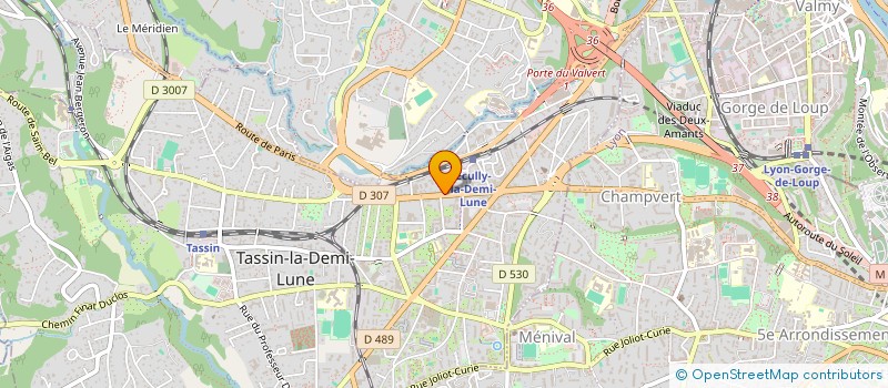 localisation de l'entreprise SODELINE  TASSIN-LA-DEMI-LUNE