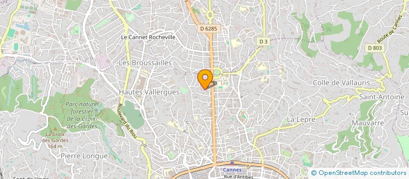 localisation de l'entreprise SOFANA  CANNES