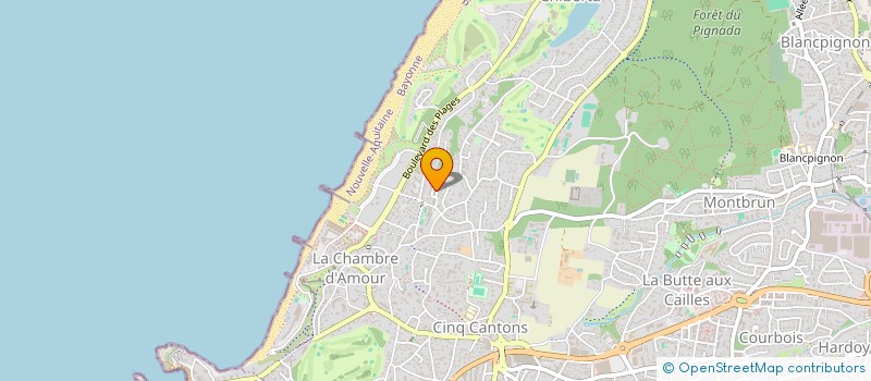localisation de l'entreprise SOKA64 à ANGLET