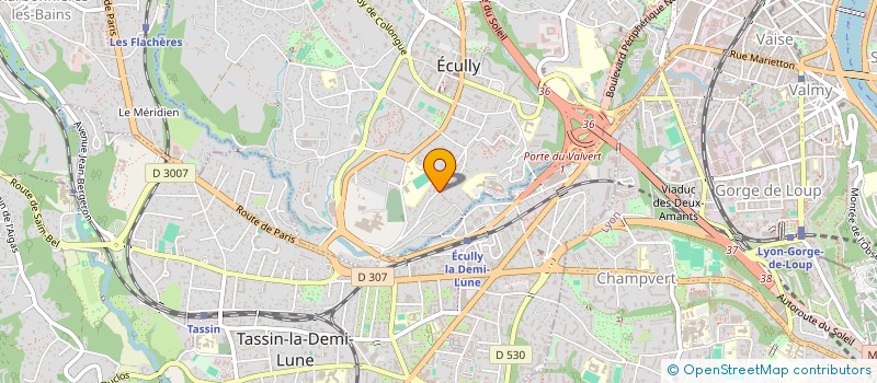 localisation de l'entreprise SOLENSY  ECULLY