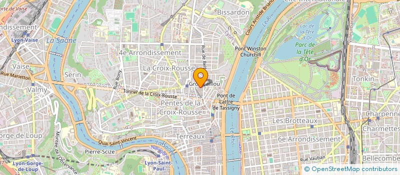 localisation de l'entreprise SOLIDAIRES SANS FRONTIERES à LYON