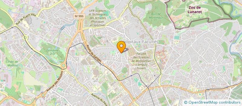 localisation de l'entreprise SOLIDARITE SDF - FONDS DE DOTATION SAKADO à MONTPELLIER