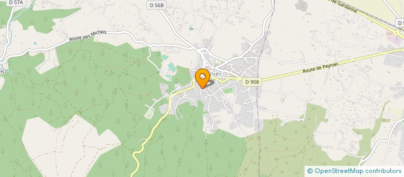 localisation de l'entreprise SOLO REGIE TECH  PEYNIER