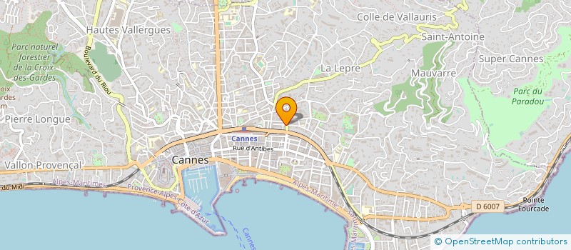 localisation de l'entreprise SOLUTIONS ANTI NUISIBLES à CANNES