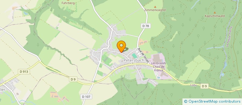 localisation de l'entreprise SOLUTIONS SERVICES AVENIR  ERCKARTSWILLER