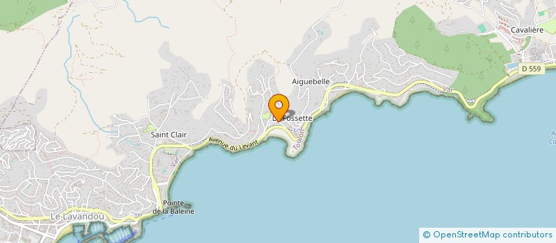 localisation de l'entreprise SOMADEVA SAS à LE LAVANDOU