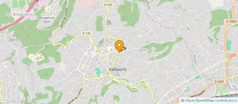 localisation de l'entreprise SOMSON à VALLAURIS