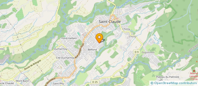 localisation de l'entreprise SON TRASE à SAINT-CLAUDE
