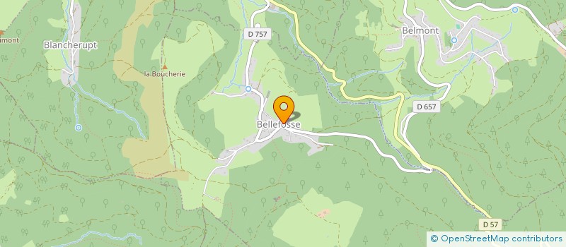 localisation de l'entreprise SOPHIE HEYDLER SYNERGIE ENERGETIQUE  BELLEFOSSE