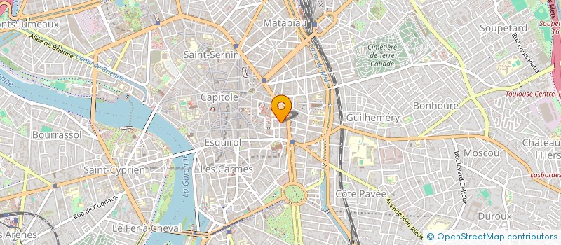 localisation de l'entreprise SOPHIE MALRIC à TOULOUSE