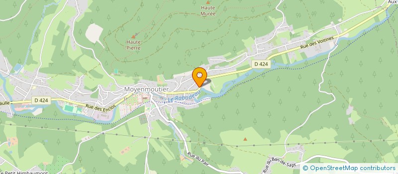 localisation de l'entreprise SOS NUISIBLES  MOYENMOUTIER