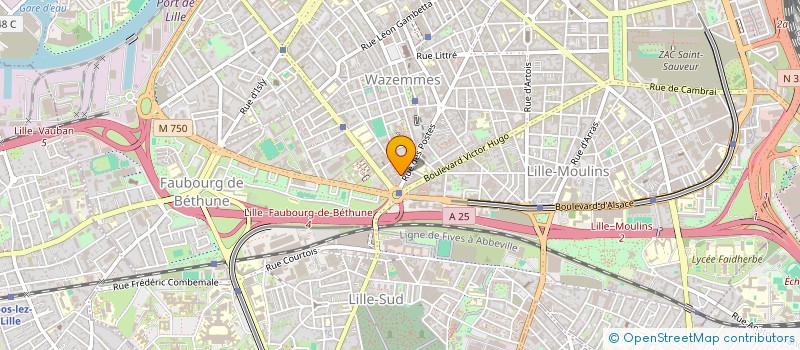 localisation de l'entreprise SOS VILLES SINISTREES EX YOUGOSLAVIE à LILLE