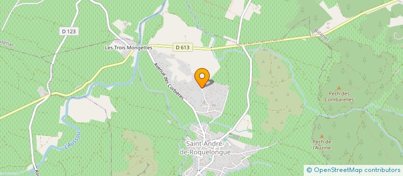 localisation de l'entreprise SOU-SOU  SAINT-ANDRE-DE-ROQUELONGUE