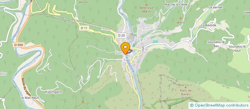 localisation de l'entreprise SOUCIS DES CHAMPS, PENSEES SAUVAGES à SAINT-MARTIAL