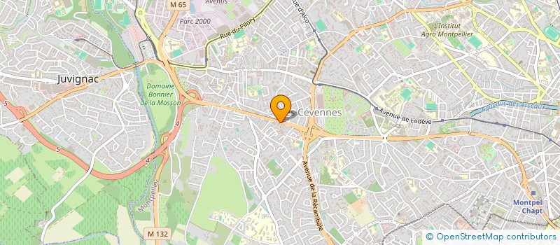 localisation de l'entreprise SOUDJI  MONTPELLIER