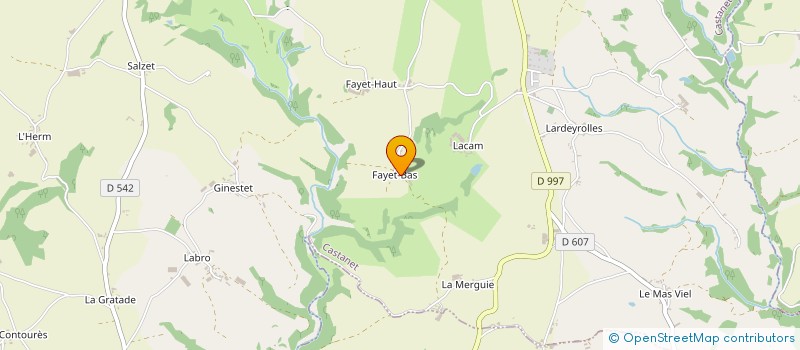 localisation de l'entreprise SOULIE GERVAIS ET MARIE FRANCOISE  CASTANET