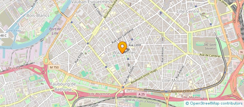 localisation de l'entreprise SOUPE PRIMITIVE à LILLE