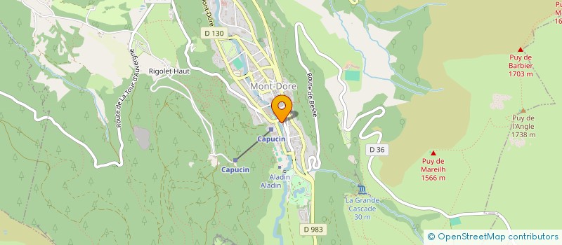 localisation de l'entreprise SOURCES DU MONT DORE EN AUVERGNE à MONT-DORE