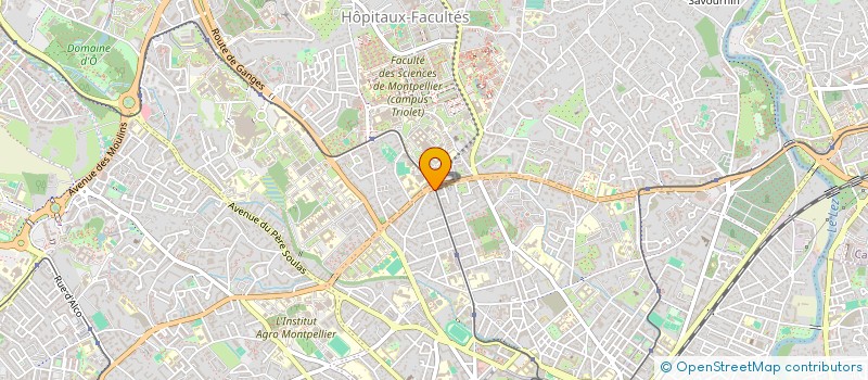 localisation de l'entreprise SOUTH SUSHI INVESTISSEMENT à MONTPELLIER