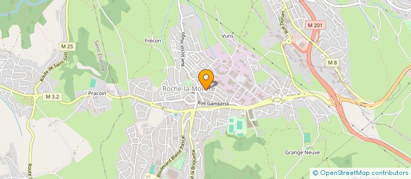 localisation de l'entreprise SOUVENIRS D'ENFANCE  ROCHE-LA-MOLIERE