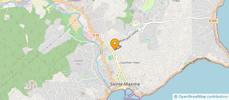 localisation de l'entreprise SOYNEKO GROUP à SAINTE-MAXIME