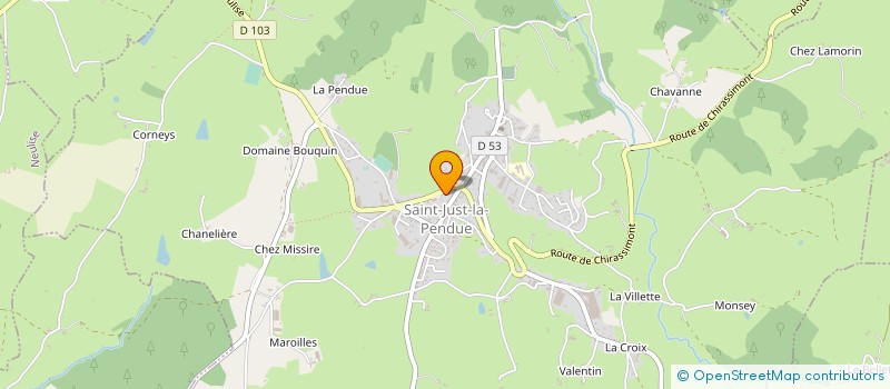 localisation de l'entreprise SOYONI  ROANNE