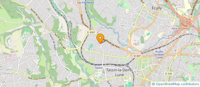 localisation de l'entreprise SP HOME  TASSIN-LA-DEMI-LUNE