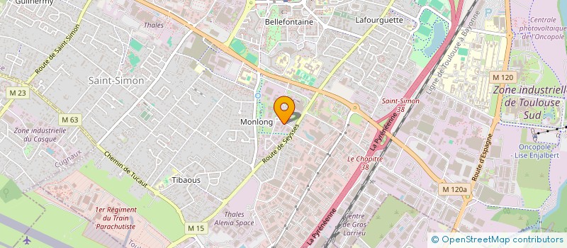 localisation de l'entreprise SPACE NETWORK SERVICES à TOULOUSE