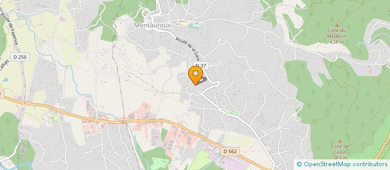 localisation de l'entreprise SPACEREX à MONTAUROUX