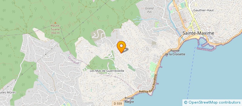 localisation de l'entreprise SPECIALISTE DU PALMIER à SAINTE-MAXIME