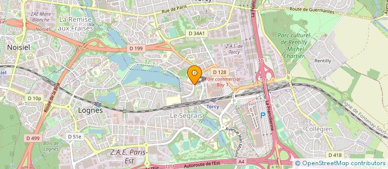 localisation de l'entreprise SPEED CARS 77  TORCY