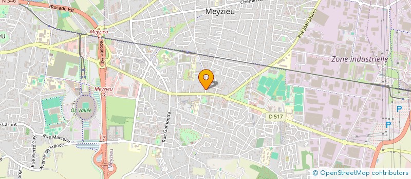 localisation de l'entreprise SPEED COM à MEYZIEU