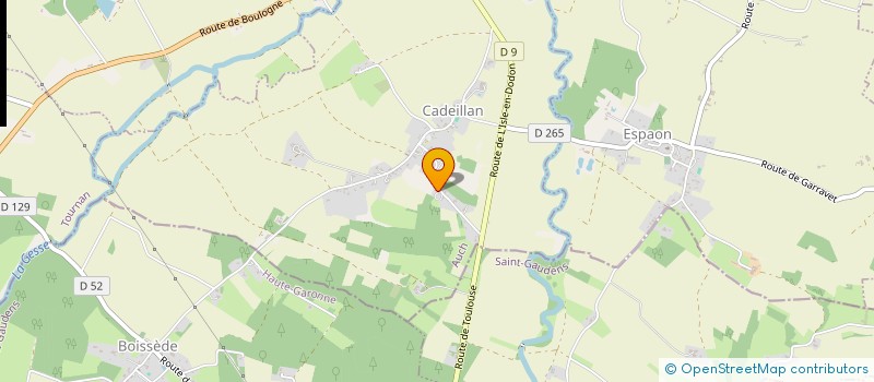 localisation de l'entreprise SPEED MAGIC IT  CADEILLAN