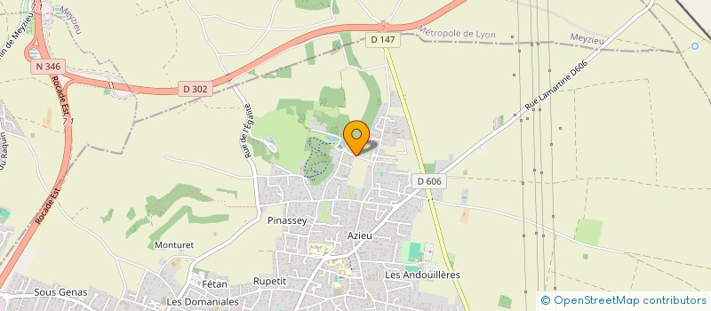 localisation de l'entreprise SPEED MULTIMEDIA MEYZIEU  GENAS