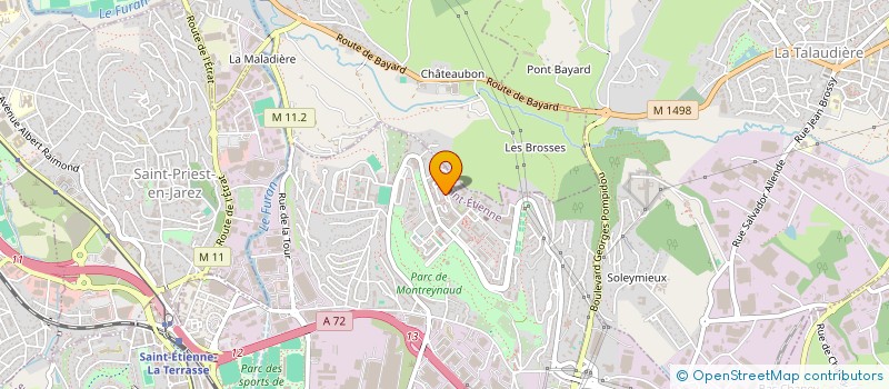 localisation de l'entreprise SPEEDY DEM  SAINT-ETIENNE