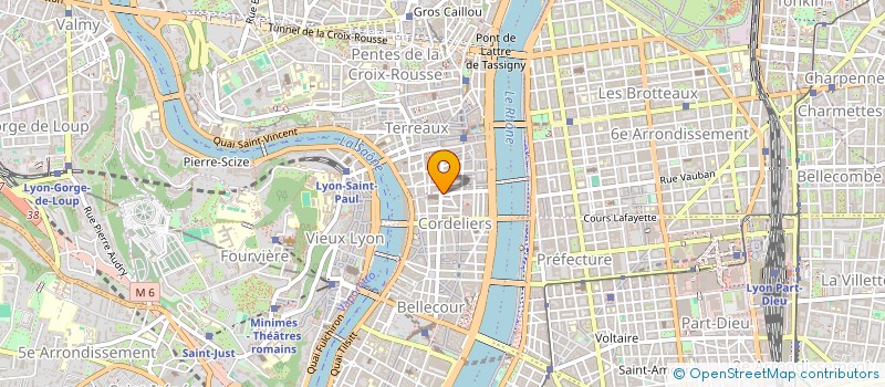 localisation de l'entreprise SPFPL D'AVOCATS THIERRY BRAILLARD  LYON