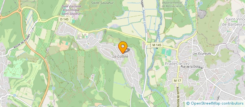 localisation de l'entreprise SPFPL DE BIOLOGISTES MEDICAUX NICOLAS PEREZ  SAINT-CLEMENT-DE-RIVIERE