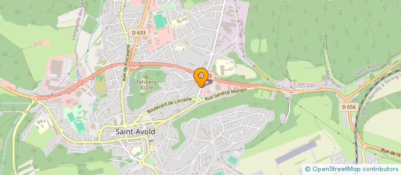 localisation de l'entreprise SPFPL DES VETERINAIRES KLEIN-SESSINI-COMMARET à SAINT-AVOLD