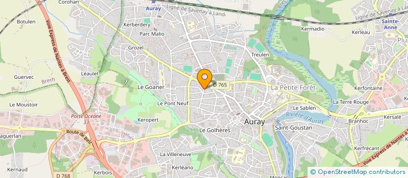 localisation de l'entreprise SPFPL HOLDING LE GOASDUFF à AURAY