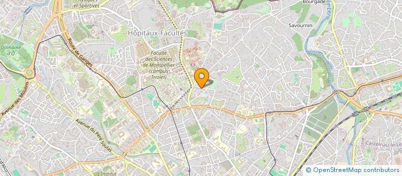 localisation de l'entreprise SPFPL HOLDING MAES  MONTPELLIER