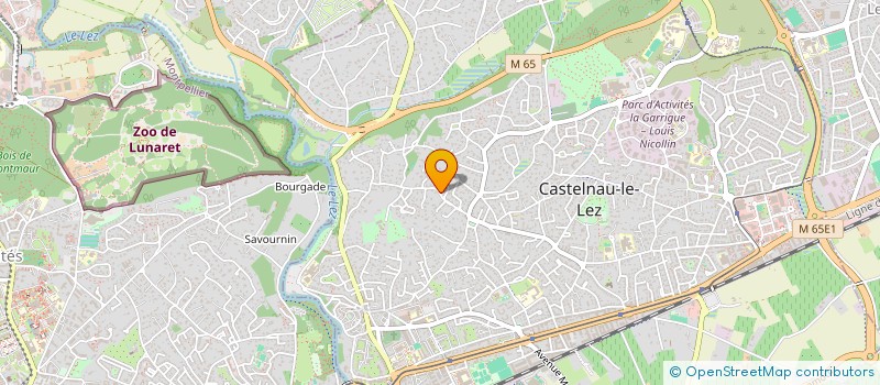 localisation de l'entreprise SPFPL LESPINASSE HOLDING à CASTELNAU-LE-LEZ