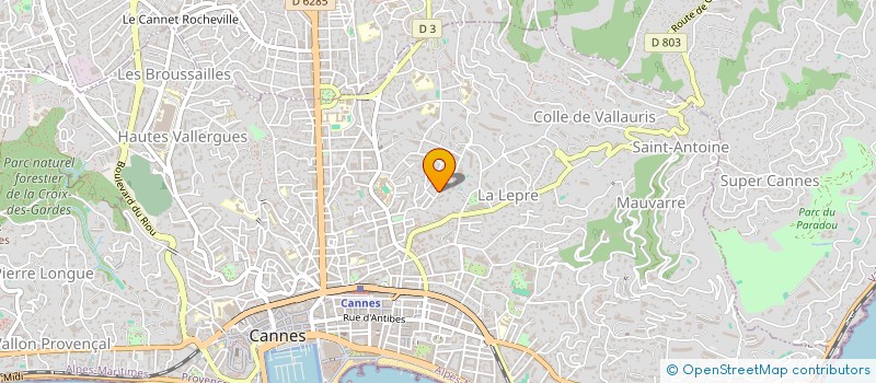 localisation de l'entreprise SPFPL SAVY  CANNES