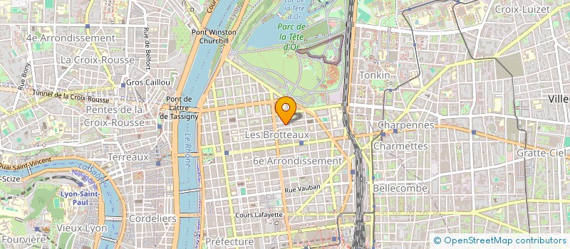 localisation de l'entreprise SPFPL THEO LEFEVRE PHARMACIEN  LYON