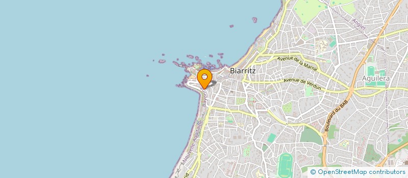 localisation de l'entreprise SPFPLAS INES DE LONGUEVAL INVESTISSEMENT à BIARRITZ