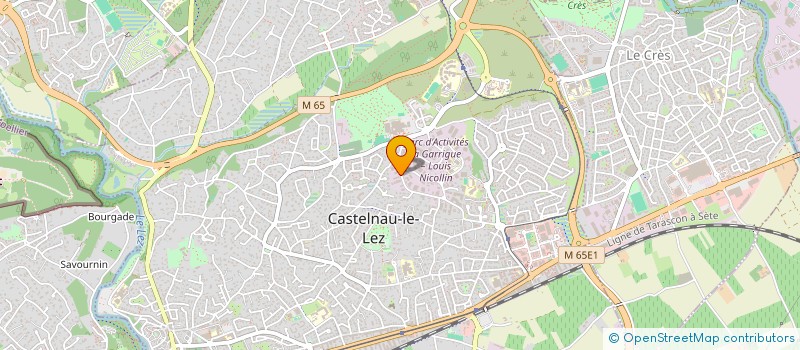 localisation de l'entreprise SPORT AUTO GARAGE à CASTELNAU-LE-LEZ