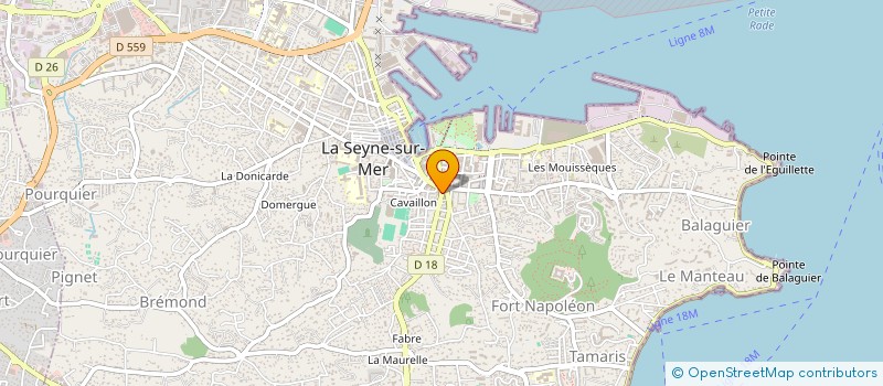 localisation de l'entreprise SPORT DE CONTACT SEYNOIS à LA SEYNE SUR MER