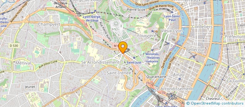 localisation de l'entreprise SPORT HOSPITALIER DU CINQUIEME à LYON