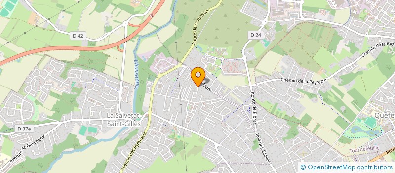 localisation de l'entreprise SPORT NATURE THERAPIE  LA SALVETAT-SAINT-GILLES