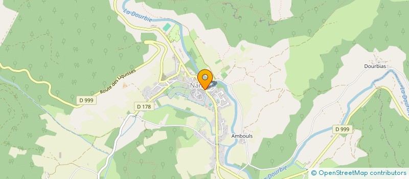 localisation de l'entreprise SPORT SANTE BIEN ETRE POUR TOUS DE NANT  NANT